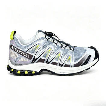 Salomon GTX