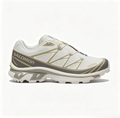 Salomon XA PRO XT-6